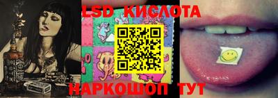 прущие грибы Будённовск