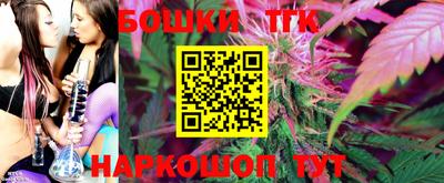 прущие грибы Будённовск