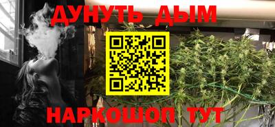 прущие грибы Будённовск