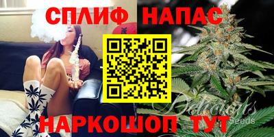 прущие грибы Будённовск