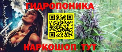 прущие грибы Будённовск